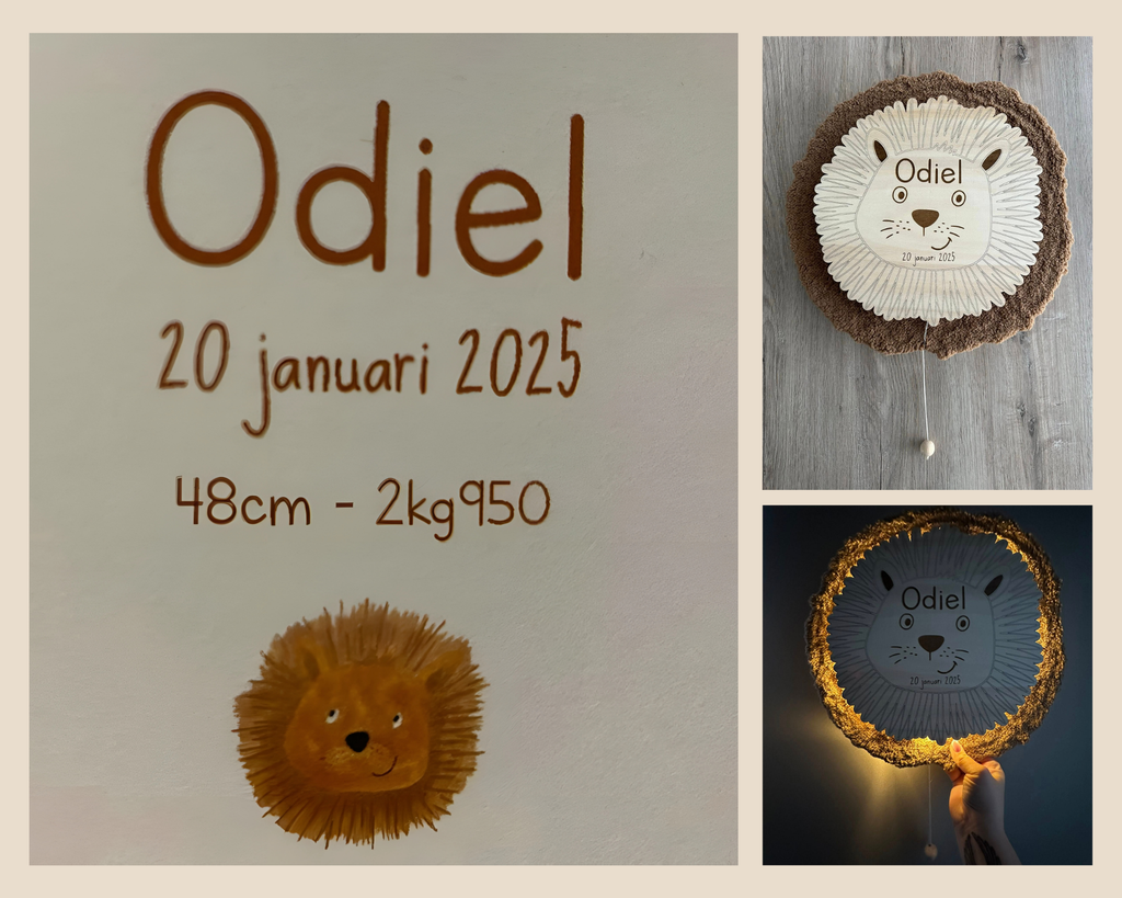 Houten Wandlamp met Teddy Stof